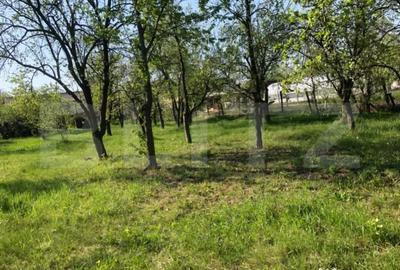 Casă cu 4 camere cu Teren 4000 Mp în Central - 7