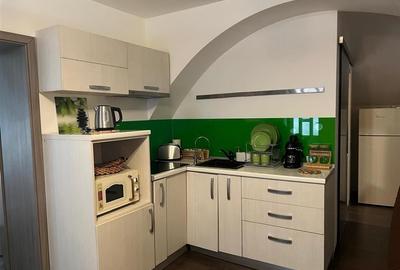 Apartament doua camere, Piata Sfatului, Brasov Apartament doua camere, Piata Sfatului, Brasov - 11