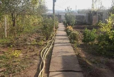 Casă cu 3 camere în Turnu Măgurele - 1