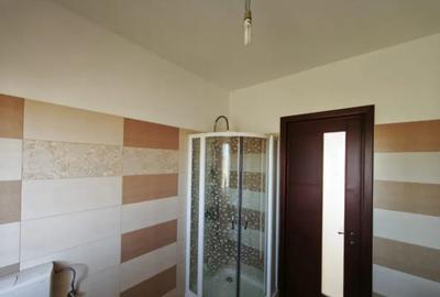 Casă cu 5 camere cu Teren 1792 Mp în Mitocu Dragomirnei - 2