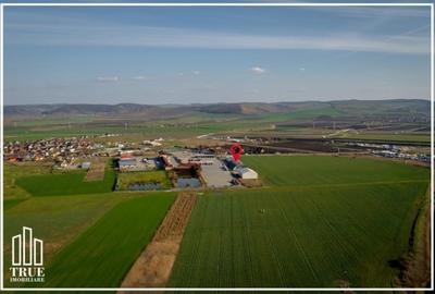 Hale de producție și depozitare 2803m?, teren 7200m?, Ungheni, Mureș! - 21