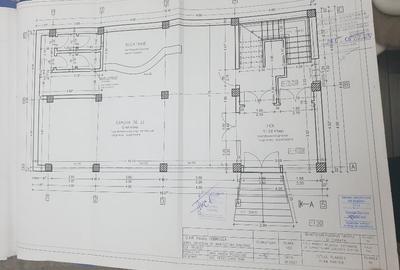 Ofer spre inchiriere D-P-3Et - 6