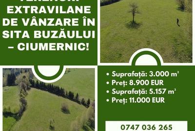 Spațiu comercial, în Sita Buzăului - 1