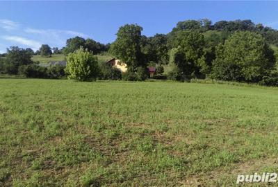 Teren de 20000 mp, în Sighișoara - 1