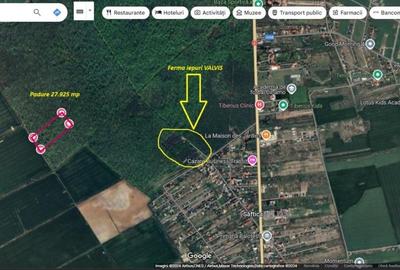 Padure 28.000mp - Saftica - 2e/mp - INVESTITIE - cel mai MIC pret - 3