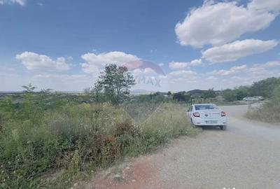 Teren de 6372 mp, în Paleu - 7