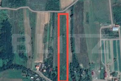 Teren de 12765 mp, în Viile Satu Mare - 1