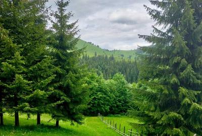 Spațiu comercial, în Bicaz-Chei - 2