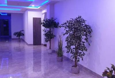 Apartament 2 camere, decomandat - zona Tractorul, complex Isaran - 2