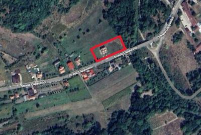 Casă cu 4 camere în Bârlogu