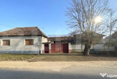 Casă cu 1 camere cu Teren 5000 Mp în Central - 1