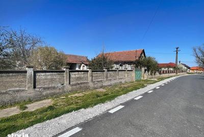 Casă cu 3 camere cu Teren 1500 Mp în Saca - 2