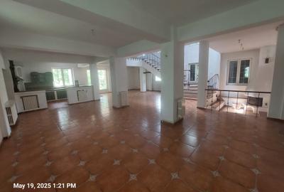 Vila de lux - Snagov, acces la ponton 70 m, deschidere la lac - 8