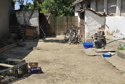 Casa batraneasca de vanzare Paulis Casa batraneasca de vanzare Paulis - 4