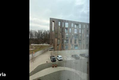 Garsonieră în Mogoșoaia - 3