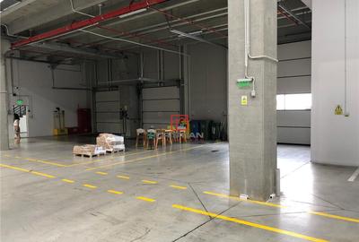Depozit/hala/spatiu industrial Mogosoaia - Centura, Ilfov - 16