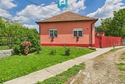 Casă cu 3 camere și teren generos lângă frontieră