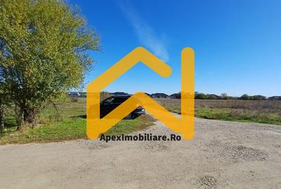 Teren Construcții intravilan de 1225 mp, în Corbeanca
