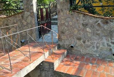 Casă cu 2 camere în Sasca Montană - 6