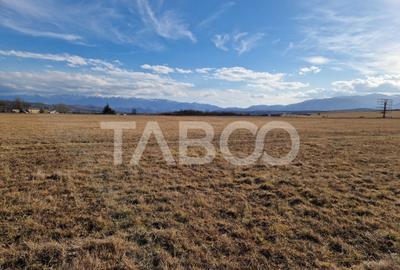 Teren extravilan arabil 1088 mp Selimbar Sibiu - 1
