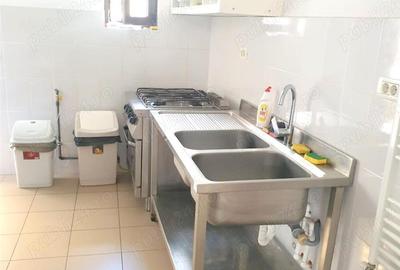 Cazare muncitori in zona badea cartan - 12