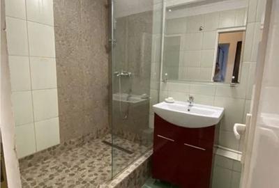 GARSONIERA P-TA ALBA IULIA, PET-FRIENDLY, BOILER, BUCATARIE INCHISA - 6