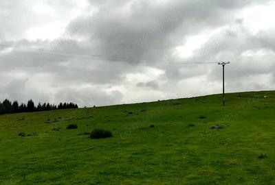 Teren de 1113 mp, în Paltin - 1