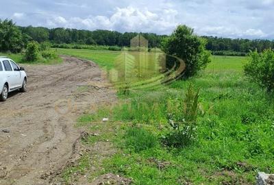 Teren agricol extravilan de 13500 mp, în Boteni - 1