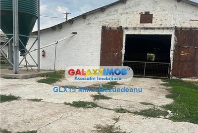 Ferma zootehnicaFunctionala zona Tomsani - 6