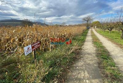 Teren intravilan de vânzare în Șard - 4