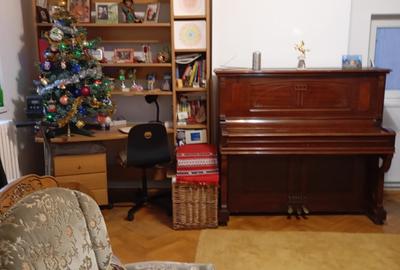 Casă cu 2 camere cu Canalizare în Casin - 15