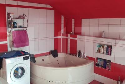 Casa cu 6 camere, 294 mp, zona-Nufarul - 13