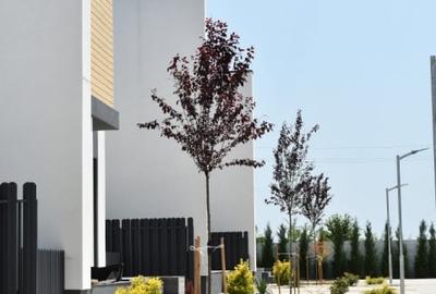 Casa Verde Individuala | 4 Camere | Teren 320 mp & 3 Locuri Parcare | Tunari - 2