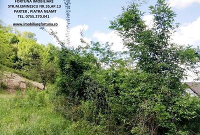 Teren 2000 mp, str.Nicu Albu, cadru natural superb - 2