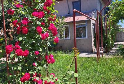 Vand casa de locuit Sp+P+E cu anexe gospodaresti in sat Caldarasti, com.Pogoanele, Buzau - 9