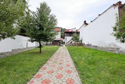 Proximitate imediata fata de Castelul Bran - 41