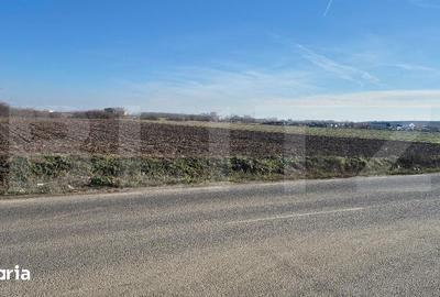 Teren de 7300 mp, în Lazuri - 1