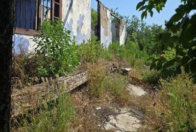Casă cu 1 camere cu Teren 1200 Mp în Cucuruzu - 11