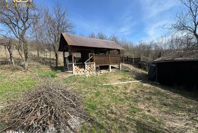 Teren de 11400 mp, în Apahida - 7