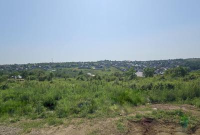 Teren intravilan , Bucium Barnova Teren intravilan , Bucium Barnova - 2