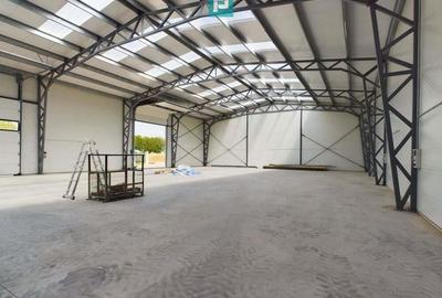 Hala noua in zona industriala Giarmata - 6
