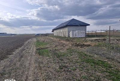 Teren de 1000 mp, în Cernica - 1