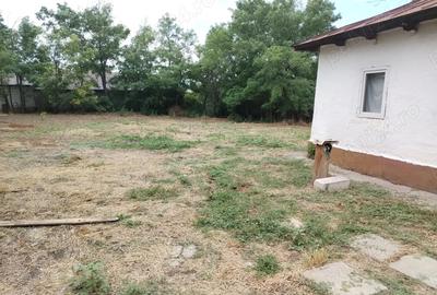 Casă cu 3 camere în Glodeanu-Siliștea - 7