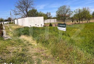 Teren de 3000 mp, în Coșoveni - 2