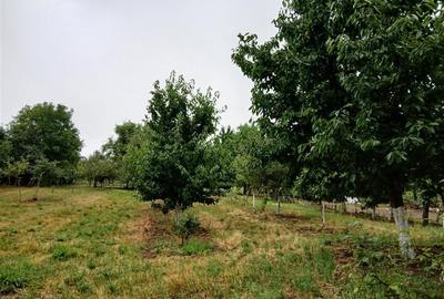 Reco Casa si teren in Budureasa, langa Statiunea Stana de Vale - 6