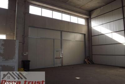 Spațiu comercial, de 430 mp, în Lugojului - 8