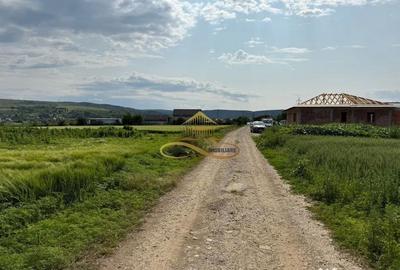 Teren de 500 mp, în Crihan - 6