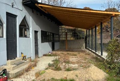 Imobil  comercial in  Zona  bailor Telega, spre  Crucea Domnitorului - 6
