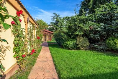 Vila de lux de vanzare in cartierul rezidential Lebada, Pantelimon - 29