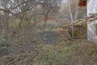 Casă cu 2 camere cu Teren 1000 Mp în Schei - 18